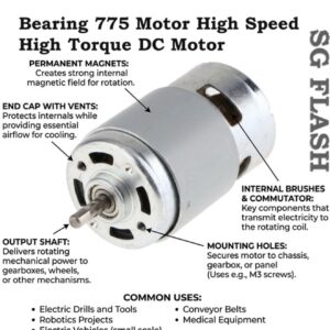 775 dc motor